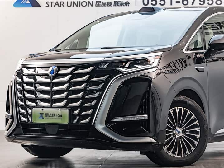 Denza D9 2025 2025款 DM-i 智驾版 1020 四驱旗舰型