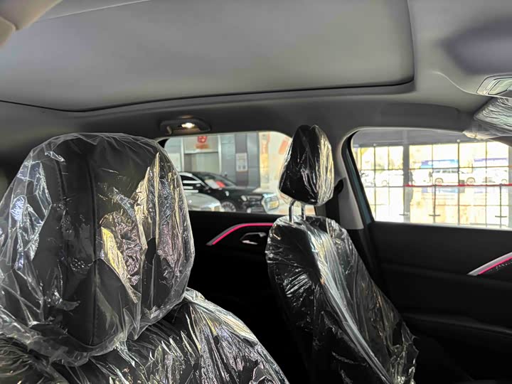 Haval Ruge Max 2025 2025款 Hi4 165 Plus 长续航版