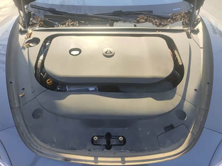 Denza Z9 2024 2024款 1100km 四驱Max版