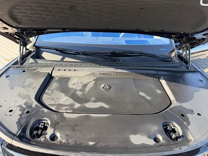 Denza Z9 2024 2024款 1100km 四驱Max版