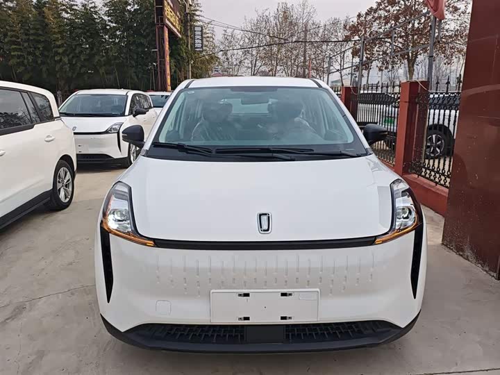 Bestune NAT 2022 2022款 舒享出行版 100kW 425km