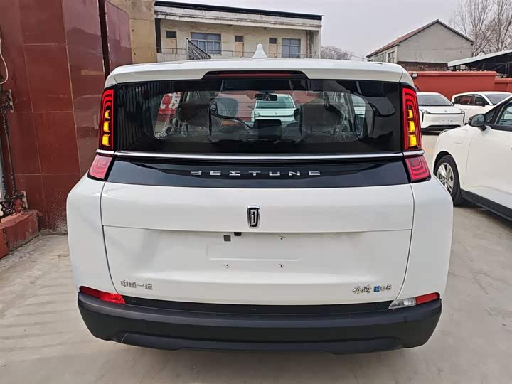 Bestune NAT 2022 2022款 舒享出行版 100kW 425km