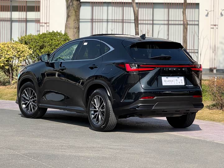 Lexus NX 2023 2023款 350h 前驱 创悦版