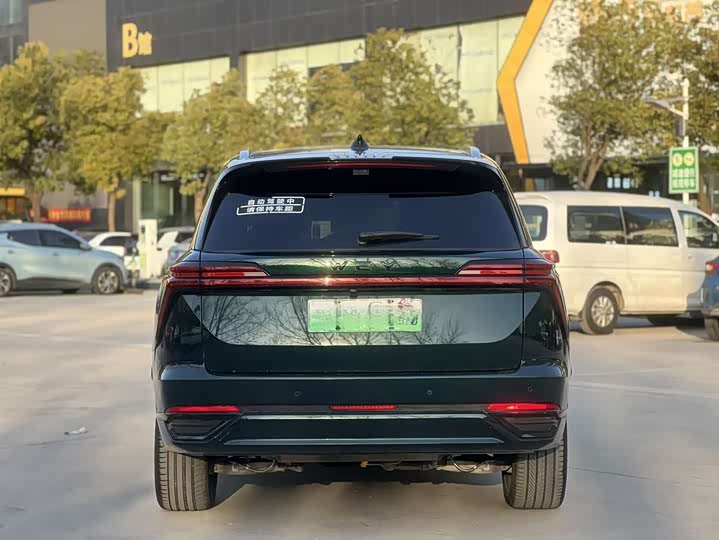 Wey Lanshan 2025 2025款 四驱智驾 Max