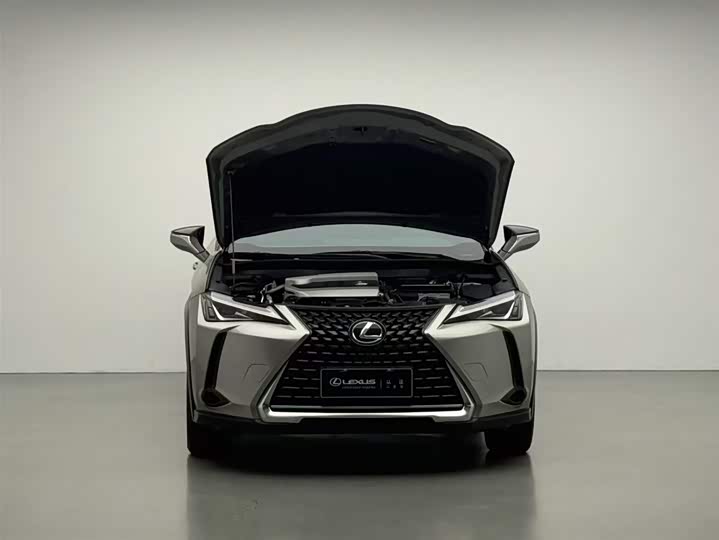Lexus UX 2020 2020款 200 特别版