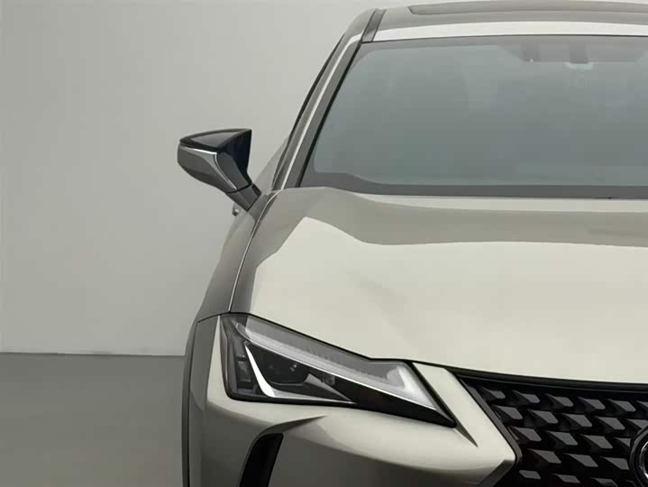 Lexus UX 2020 2020款 200 特别版