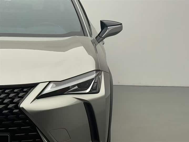 Lexus UX 2020 2020款 200 特别版