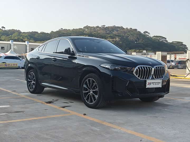 BMW X6 2023 2023款 xDrive30i M运动套装