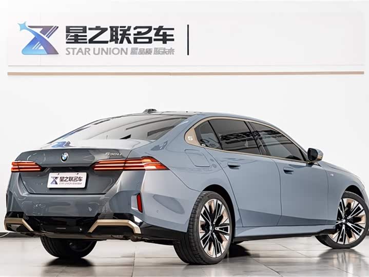 BMW 5 Series 2024 2024款 530Li 尊享型 M运动套装