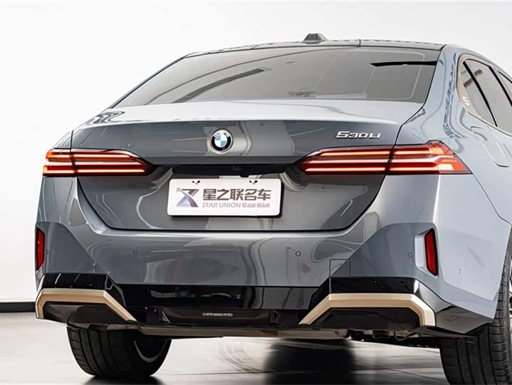 BMW 5 Series 2024 2024款 530Li 尊享型 M运动套装