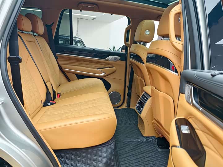 Tank 500 Hybrid 2024 2024款 Hi4-T