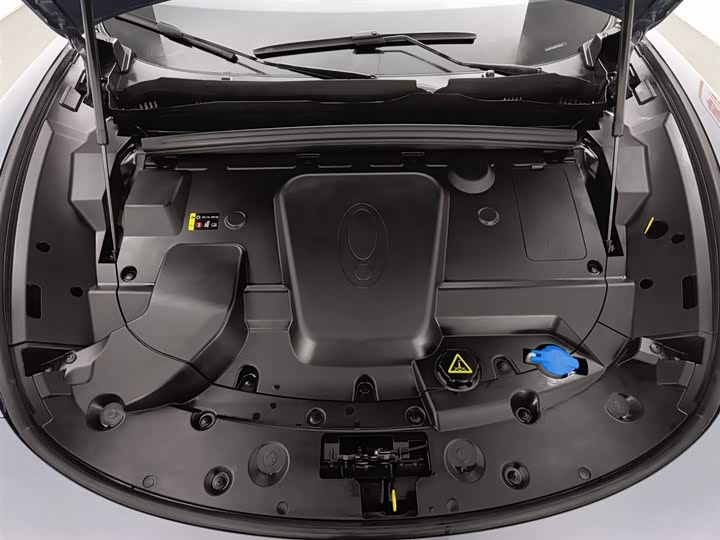 Ora Lightning Cat (07) 2022 2022款 600km 四驱高性能版