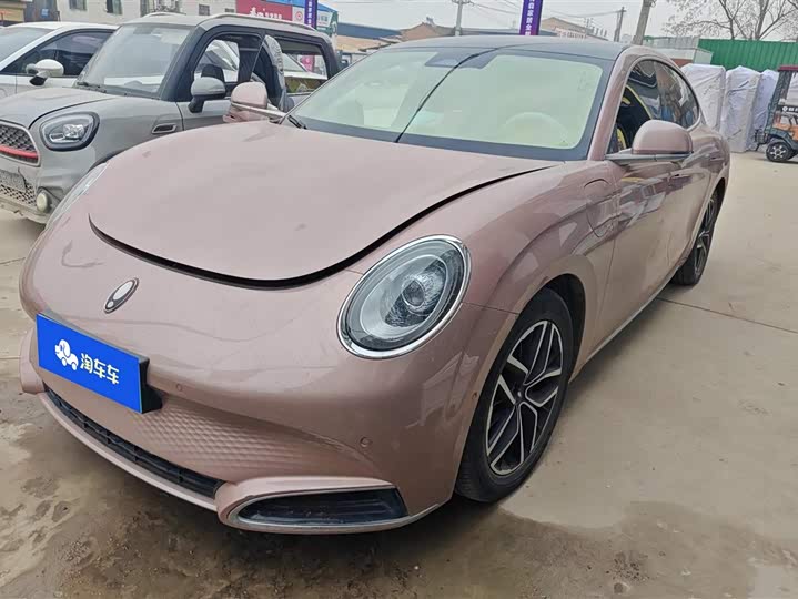 Ora Lightning Cat (07) 2022 2022款 555km 尊贵版