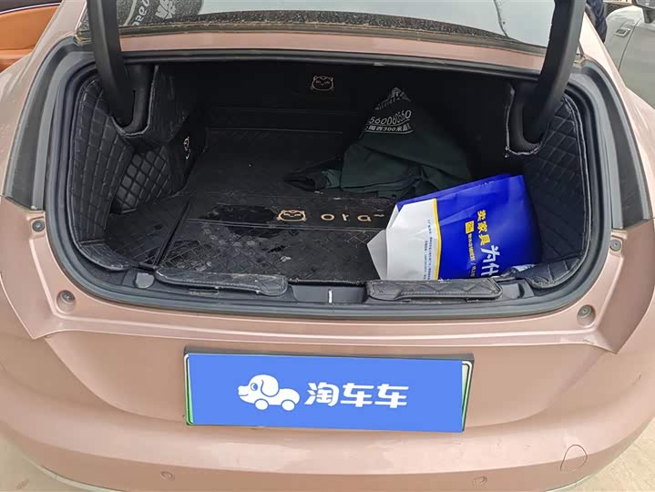 Ora Lightning Cat (07) 2022 2022款 555km 尊贵版