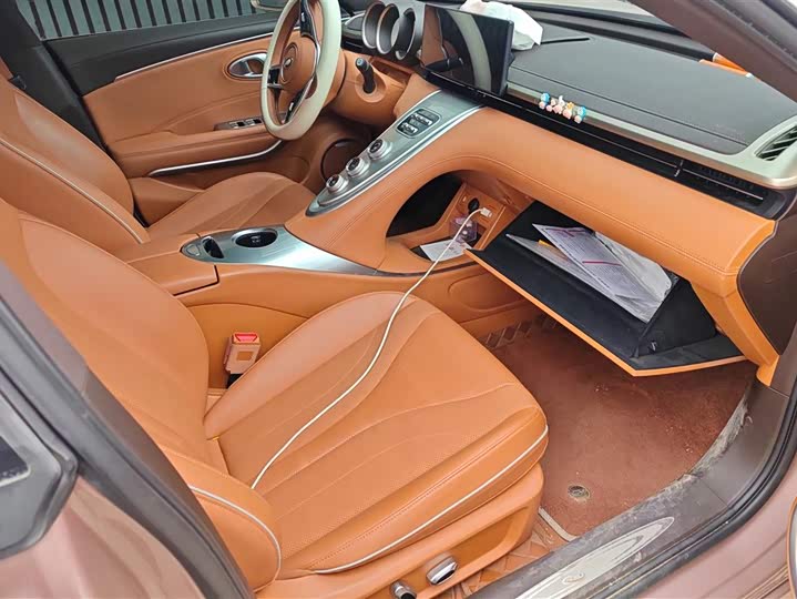 Ora Lightning Cat (07) 2022 2022款 555km 尊贵版