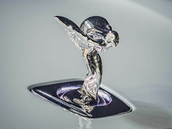 Rolls-Royce Spectre 2024 2024款 标准型