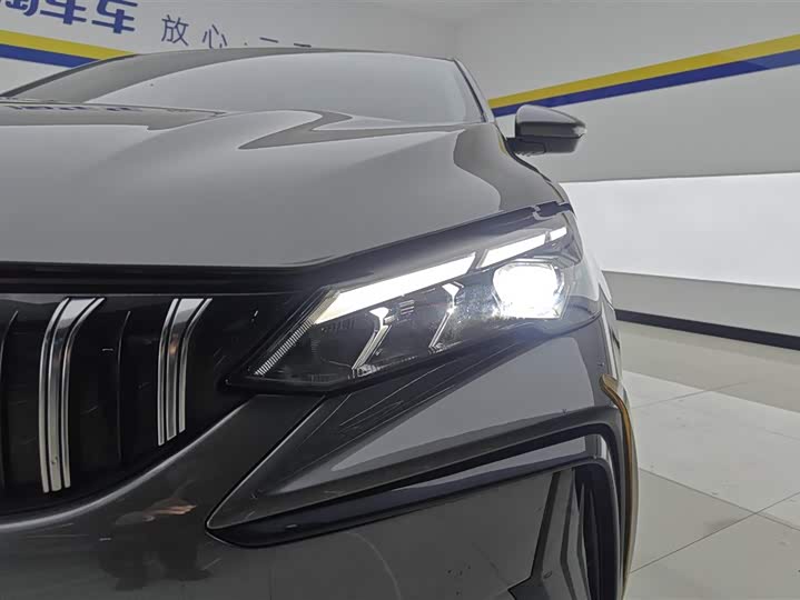 2024 Geely Binrui