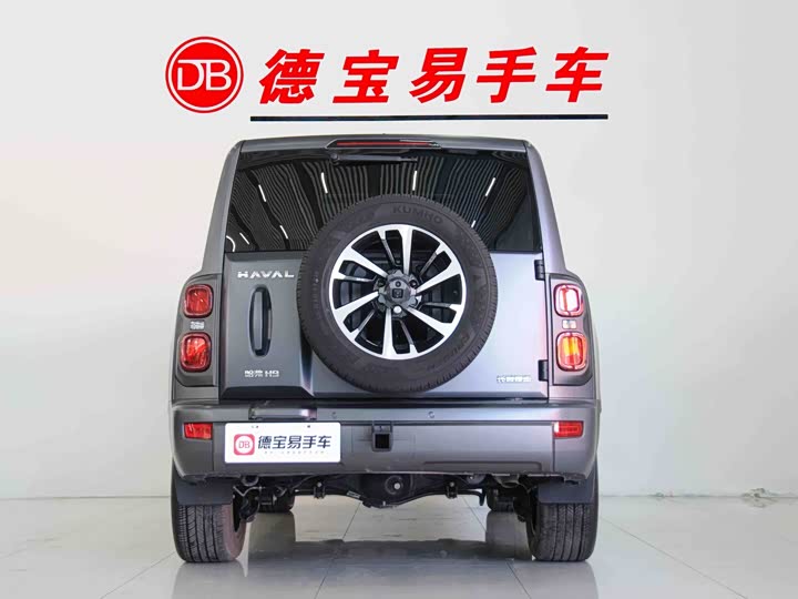 Haval H9 2024 2024款 2.0T 汽油四驱极境版