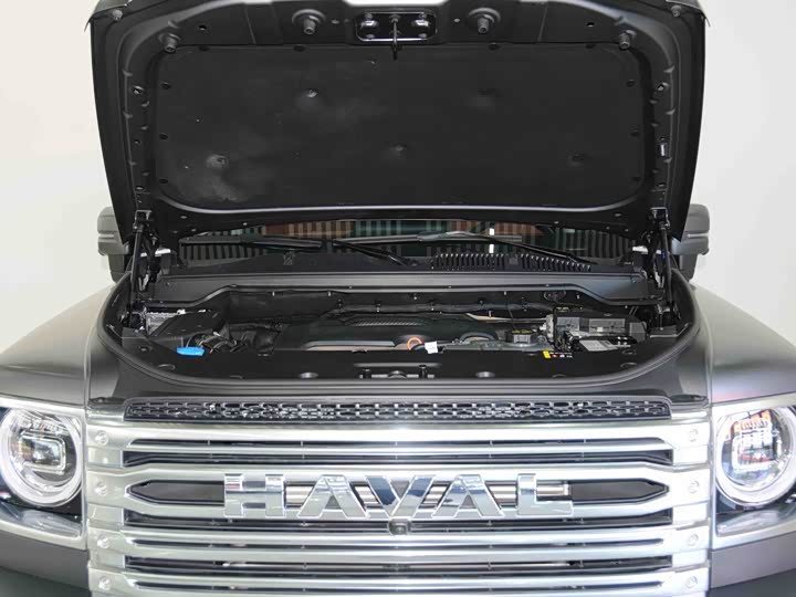 Haval H9 2024 2024款 2.0T 汽油四驱极境版