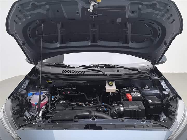 Chery Tiggo 3x 2024 2024款 1.5L CVT卓越版