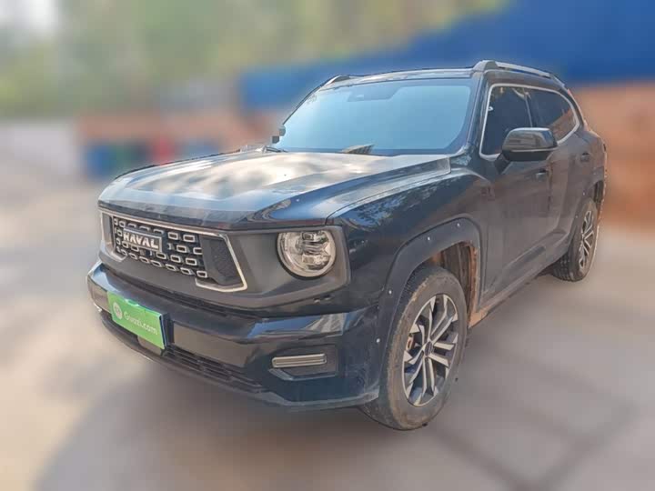 Haval H-Dog 2023 2023款 2.0T 四驱潮野Plus