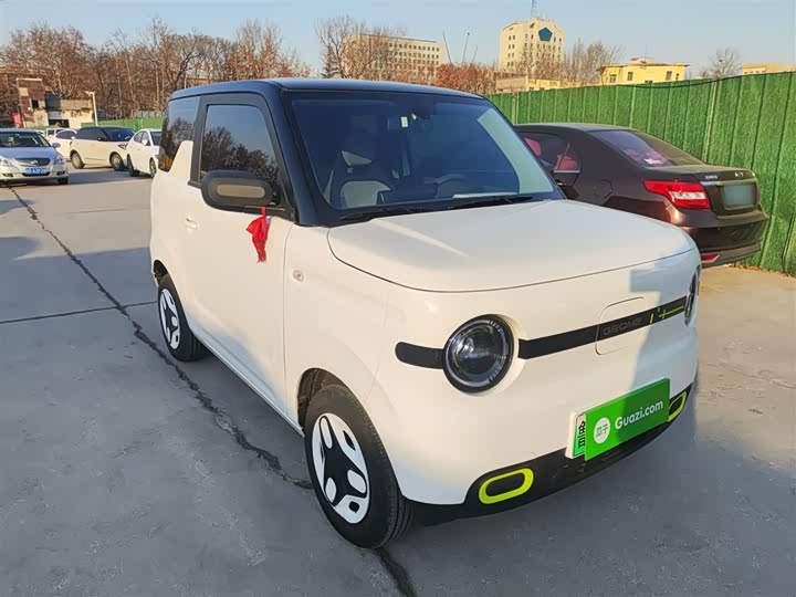 Geely Galaxy Panda Mini 2025 2025款 熊猫mini 210km 元气熊