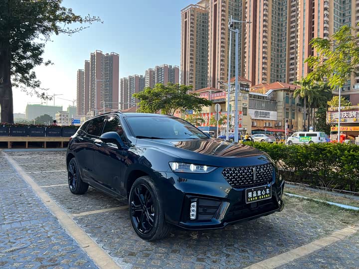 Wey VV7 2020 2020款 2.0T 旗舰型