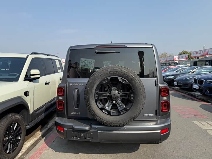 Haval H9 2024 2024款 2.4T 柴油四驱极境版