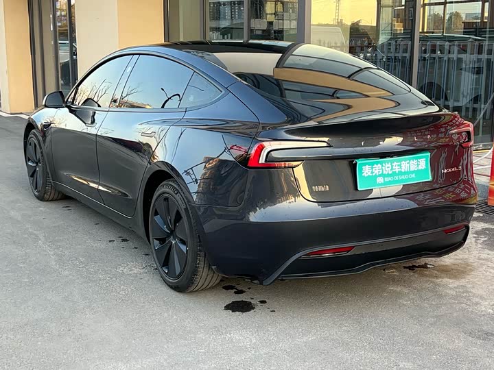Tesla Model 3 2023 2023款 后轮驱动版