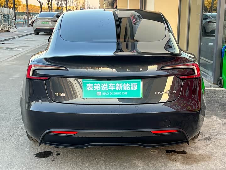 Tesla Model 3 2023 2023款 后轮驱动版