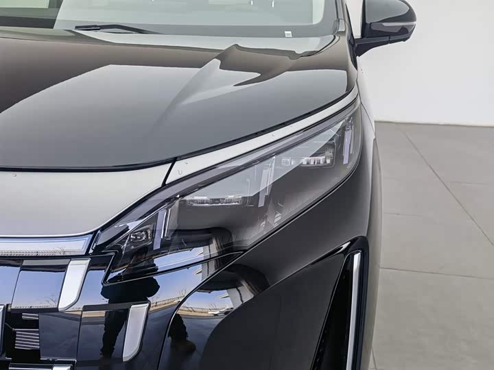 BYD M9 2025 2025款 1060领航版