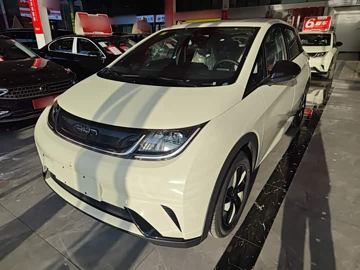 BYD Dolphin 2025 2025款 420km 自由版