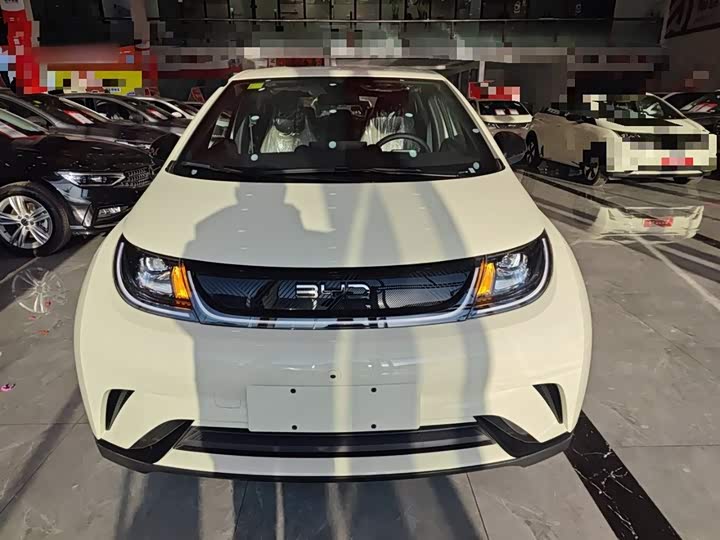 BYD Dolphin 2025 2025款 420km 自由版