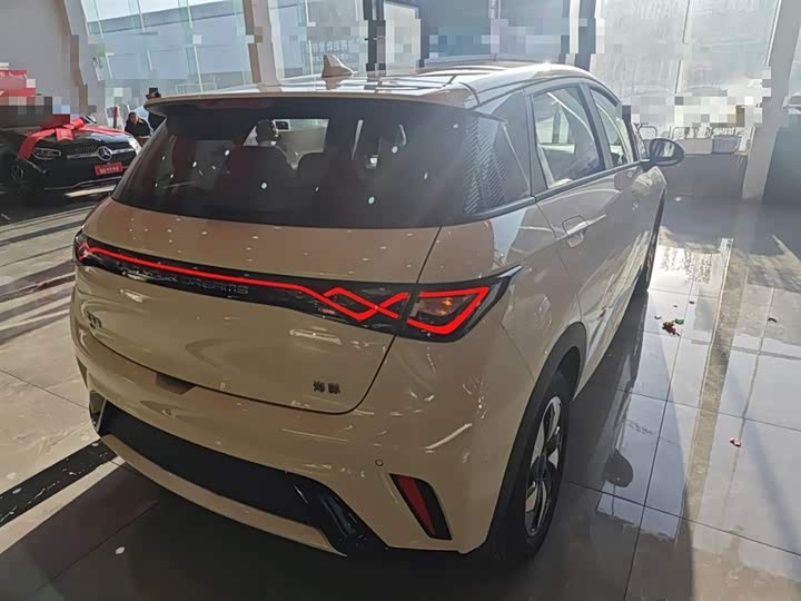 BYD Dolphin 2025 2025款 420km 自由版