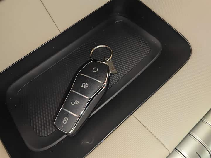 BYD Dolphin 2025 2025款 420km 自由版