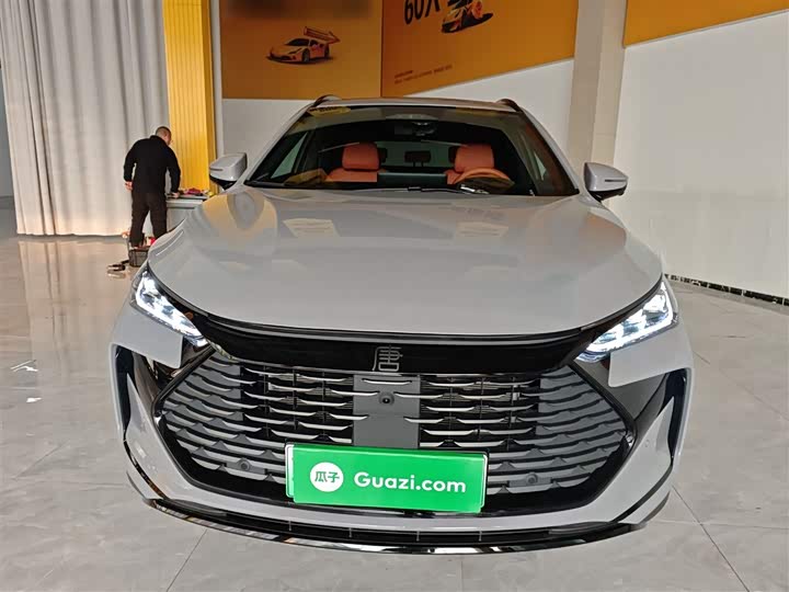 2025 BYD Tang Hybrid/EV