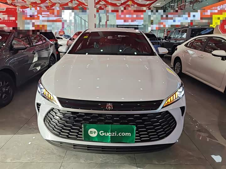BYD Qin Plus 2025 2025款 DM-i 智驾版 128KM进取型