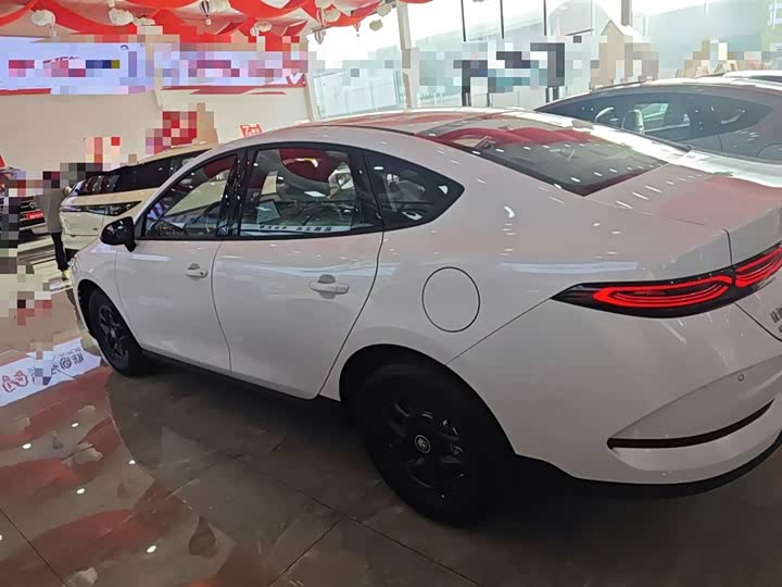 BYD Qin Plus 2025 2025款 DM-i 智驾版 128KM进取型