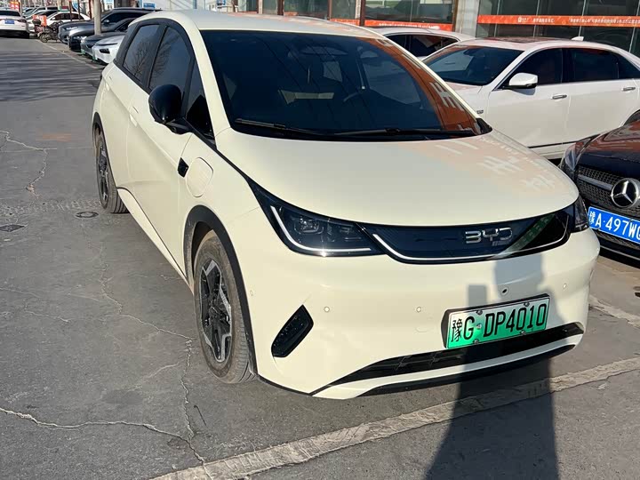 BYD Dolphin 2025 2025款 智驾版 420km 自由版