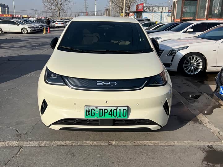 BYD Dolphin 2025 2025款 智驾版 420km 自由版