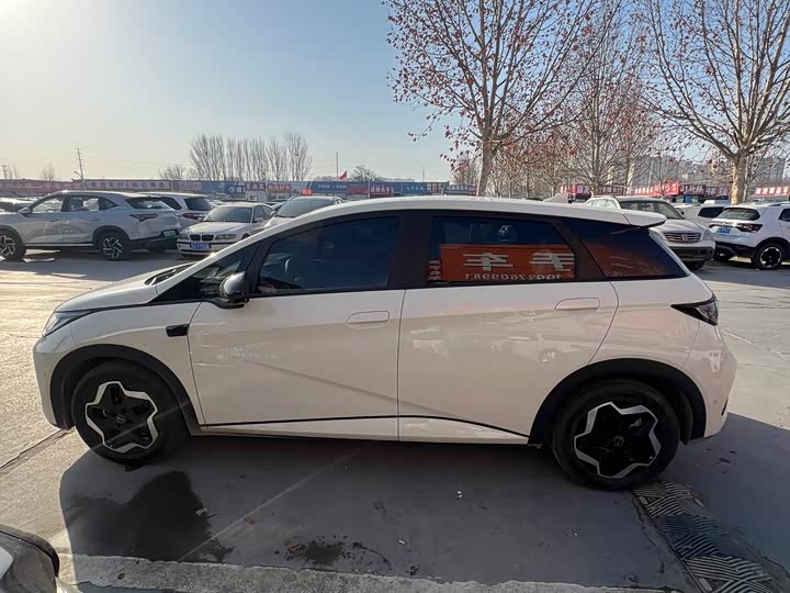 BYD Dolphin 2025 2025款 智驾版 420km 自由版