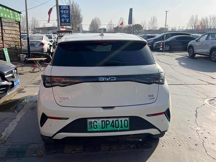 BYD Dolphin 2025 2025款 智驾版 420km 自由版
