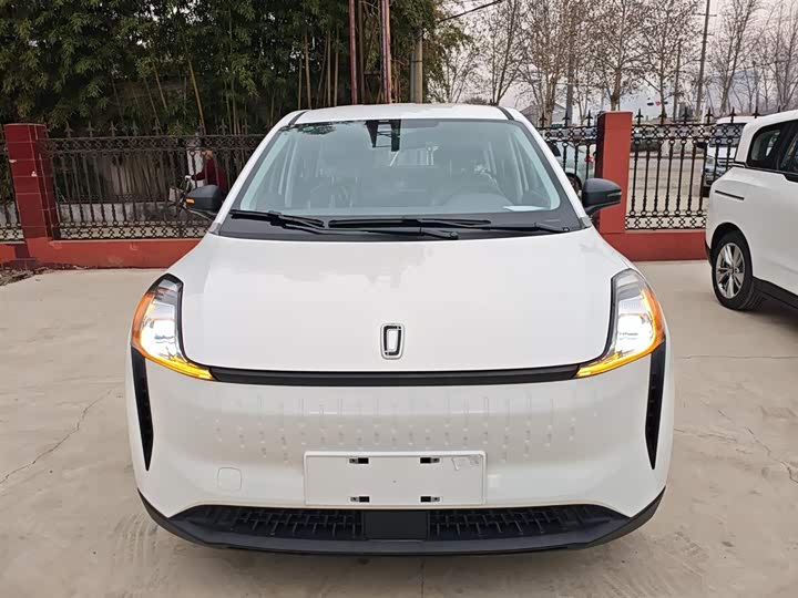 Bestune NAT 2022 2022款 舒享出行版 100kW 425km