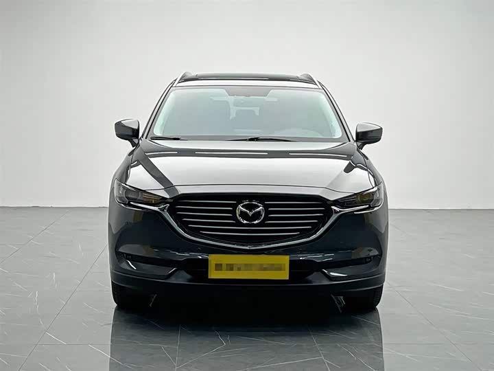 Mazda CX-8 2019 2019款 2.5L 两驱尊贵型
