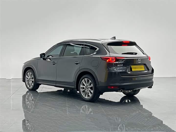Mazda CX-8 2019 2019款 2.5L 两驱尊贵型