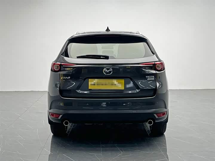 Mazda CX-8 2019 2019款 2.5L 两驱尊贵型