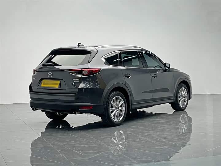Mazda CX-8 2019 2019款 2.5L 两驱尊贵型