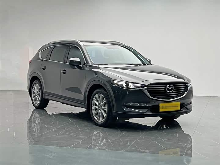 Mazda CX-8 2019 2019款 2.5L 两驱尊贵型