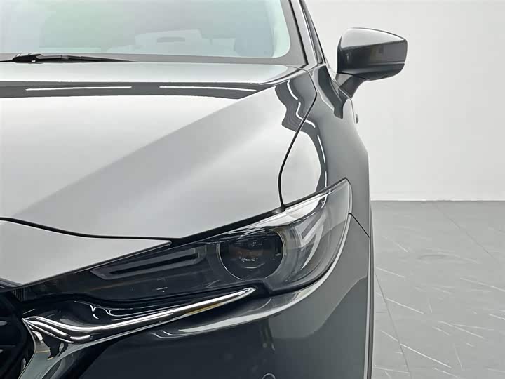 Mazda CX-8 2019 2019款 2.5L 两驱尊贵型