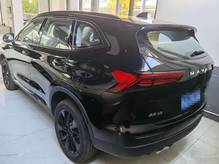 Haval H6 2024 2024款 2.0T 四驱Max